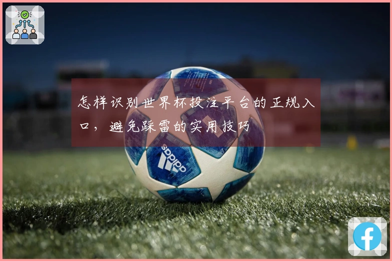 怎样识别世界杯投注平台的正规入口，避免踩雷的实用技巧