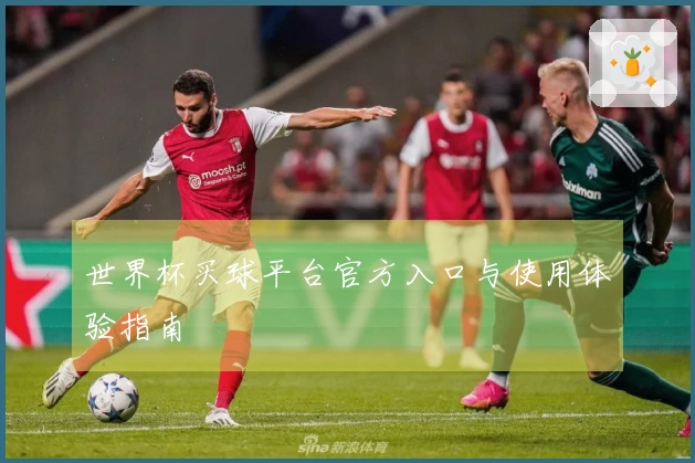 世界杯买球平台官方入口与使用体验指南