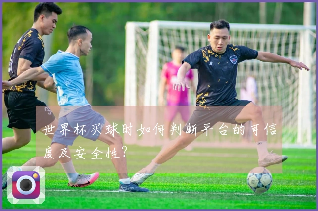 世界杯买球时如何判断平台的可信度及安全性？