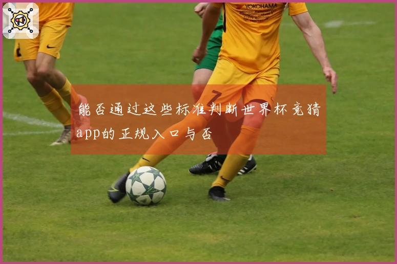能否通过这些标准判断世界杯竞猜app的正规入口与否