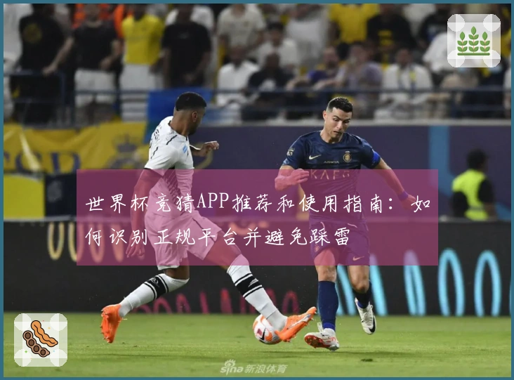 世界杯竞猜APP推荐和使用指南：如何识别正规平台并避免踩雷