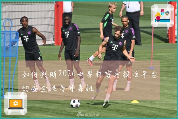 如何判断2026世界杯官方投注平台的安全性与可靠性
