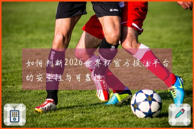 如何判断2026世界杯官方投注平台的安全性与可靠性