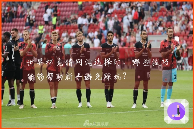 世界杯竞猜网站选择时，哪些技巧能够帮助新手避免踩坑？