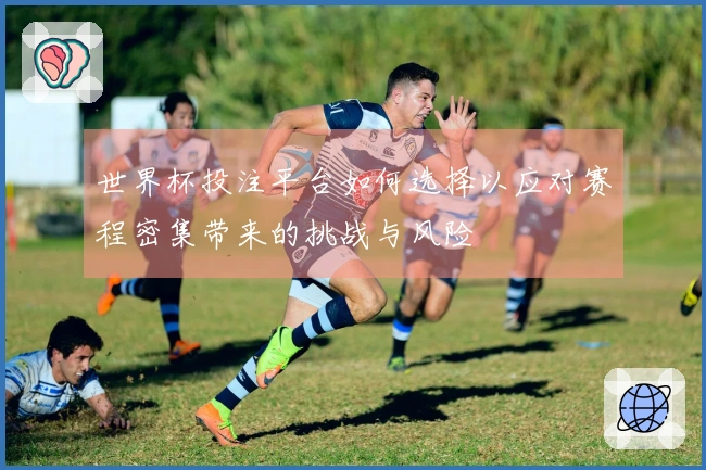 世界杯投注平台如何选择以应对赛程密集带来的挑战与风险