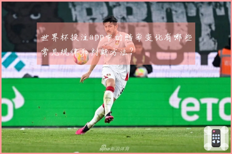 世界杯投注app中的赔率变化有哪些常见规律和判断方法？