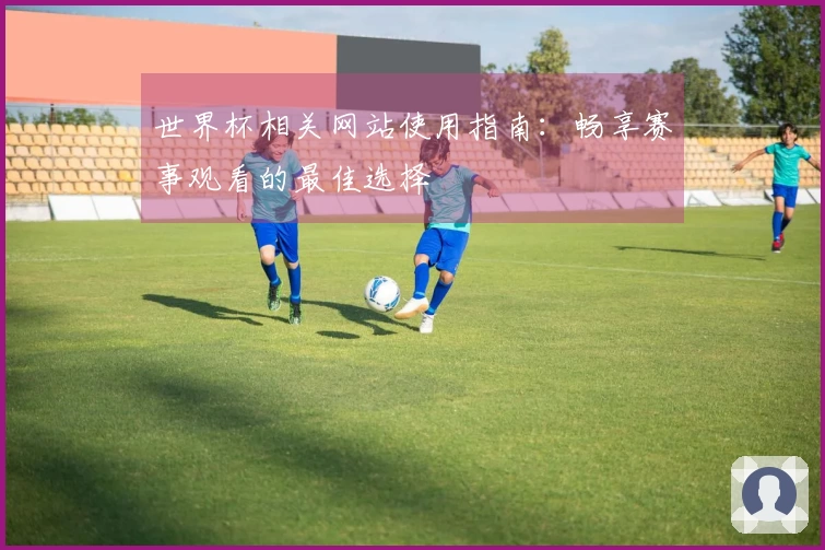 世界杯相关网站使用指南：畅享赛事观看的最佳选择