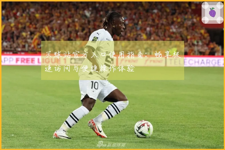 买球站官方入口使用指南：畅享极速访问与便捷操作体验