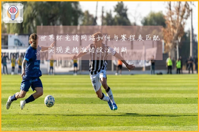世界杯竞猜网站如何与赛程表匹配，实现更精准的投注判断