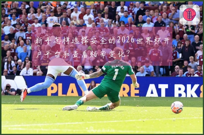 新手怎样选择安全的2026世界杯开户平台和查看赔率变化？