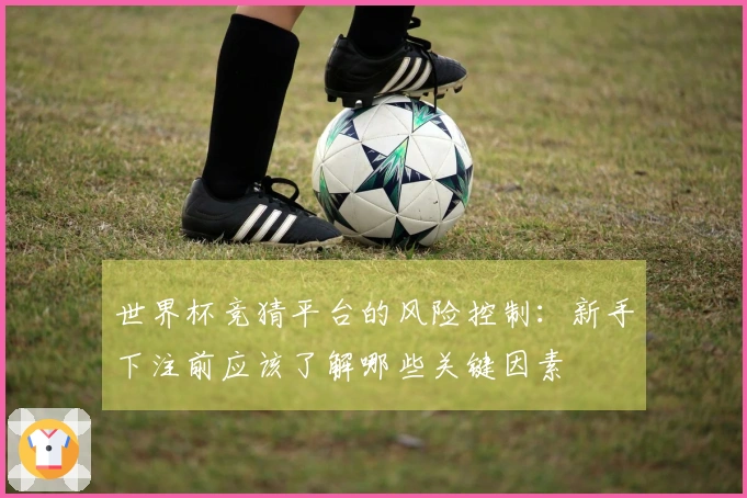 世界杯竞猜平台的风险控制：新手下注前应该了解哪些关键因素