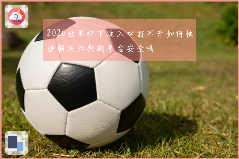 2026世界杯下注入口打不开如何快速解决和判断平台安全吗