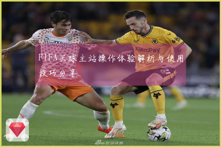 FIFA买球主站操作体验解析与使用技巧分享