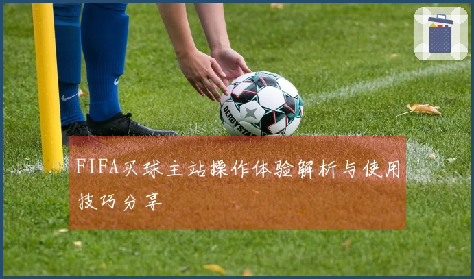FIFA买球主站操作体验解析与使用技巧分享