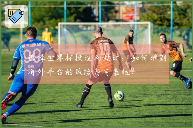 选择世界杯投注网站时，如何辨别海外平台的风险与可靠性？