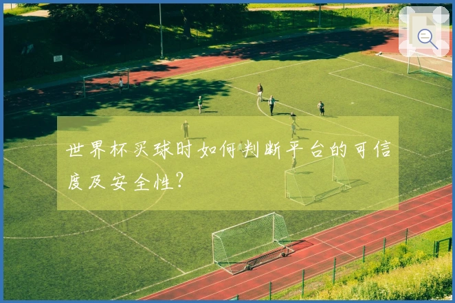 世界杯买球时如何判断平台的可信度及安全性？