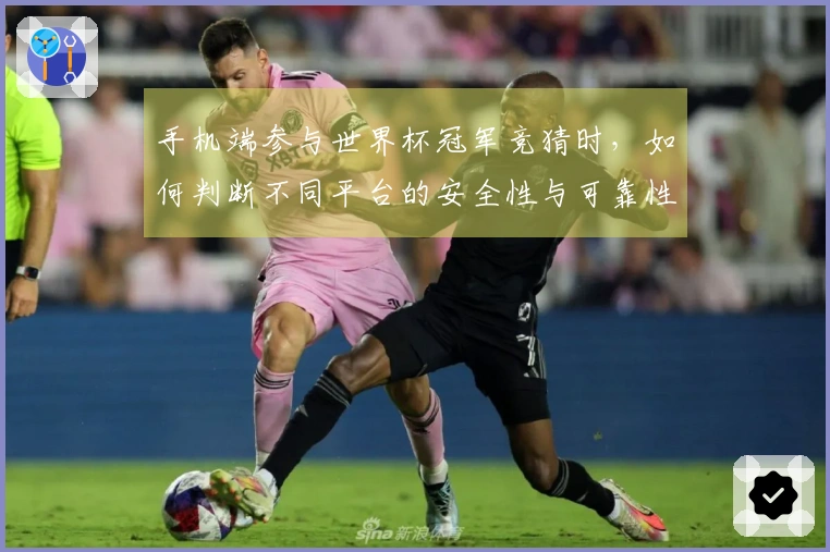 手机端参与世界杯冠军竞猜时，如何判断不同平台的安全性与可靠性？