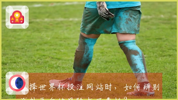 选择世界杯投注网站时，如何辨别海外平台的风险与可靠性？