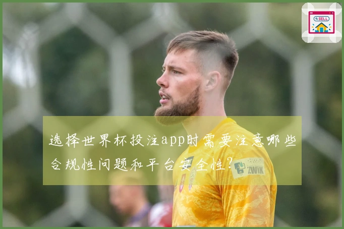 选择世界杯投注app时需要注意哪些合规性问题和平台安全性？