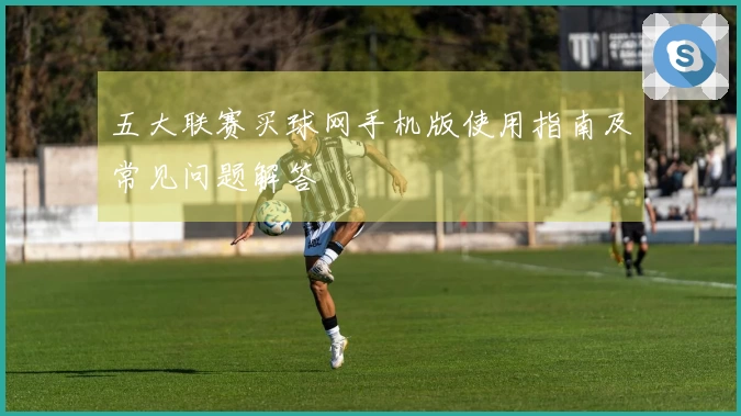 五大联赛买球网手机版使用指南及常见问题解答