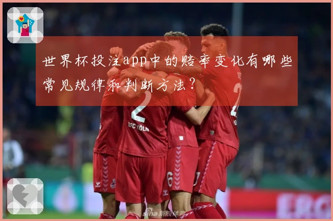 世界杯投注app中的赔率变化有哪些常见规律和判断方法？