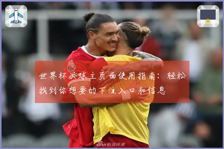 世界杯买球主页面使用指南：轻松找到你想要的下注入口和信息