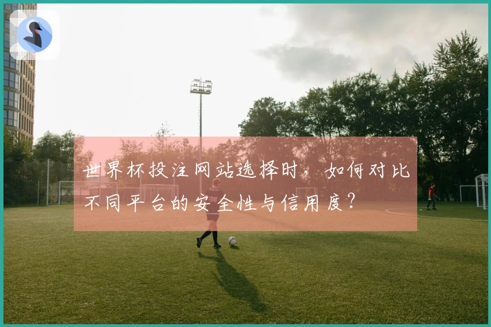 世界杯投注网站选择时，如何对比不同平台的安全性与信用度？